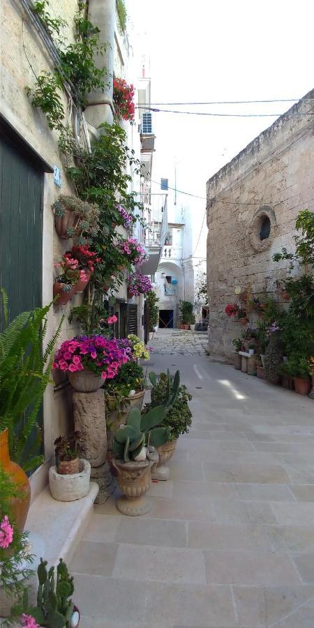 My Monopoli- Casa Dei Fiori "Orchidea" Centro Storico Hotell Eksteriør bilde
